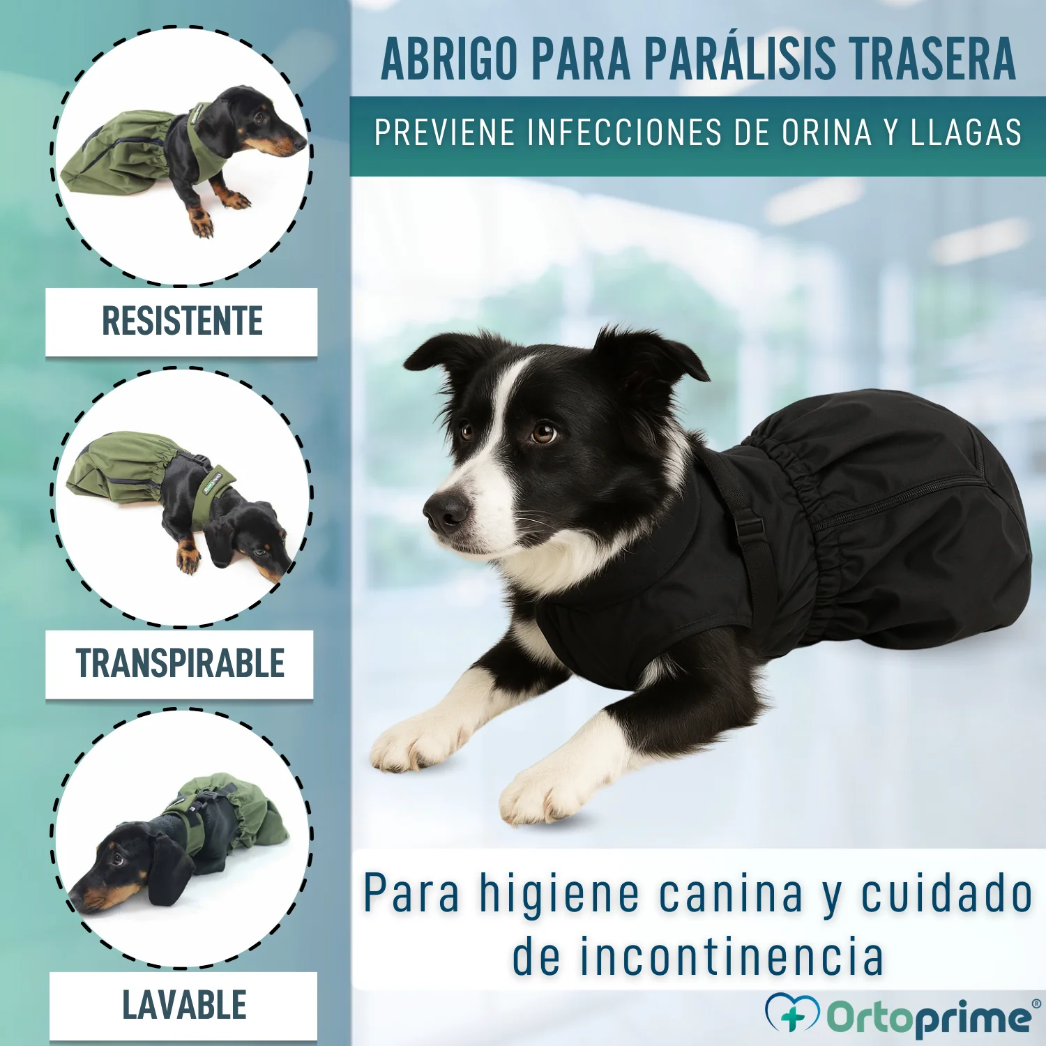 Abrigo de Nylon para Perros con Movilidad Reducida | 6 Tallas - Image 3
