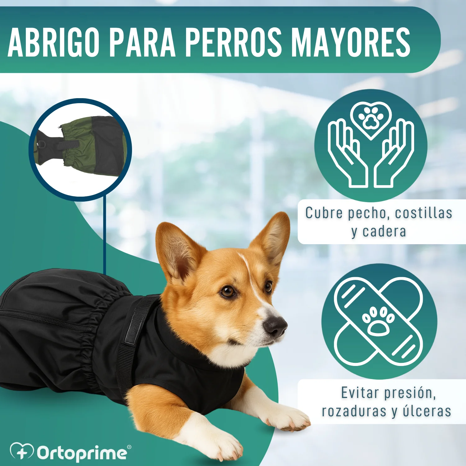 Abrigo de Nylon para Perros con Movilidad Reducida | 6 Tallas - Image 4