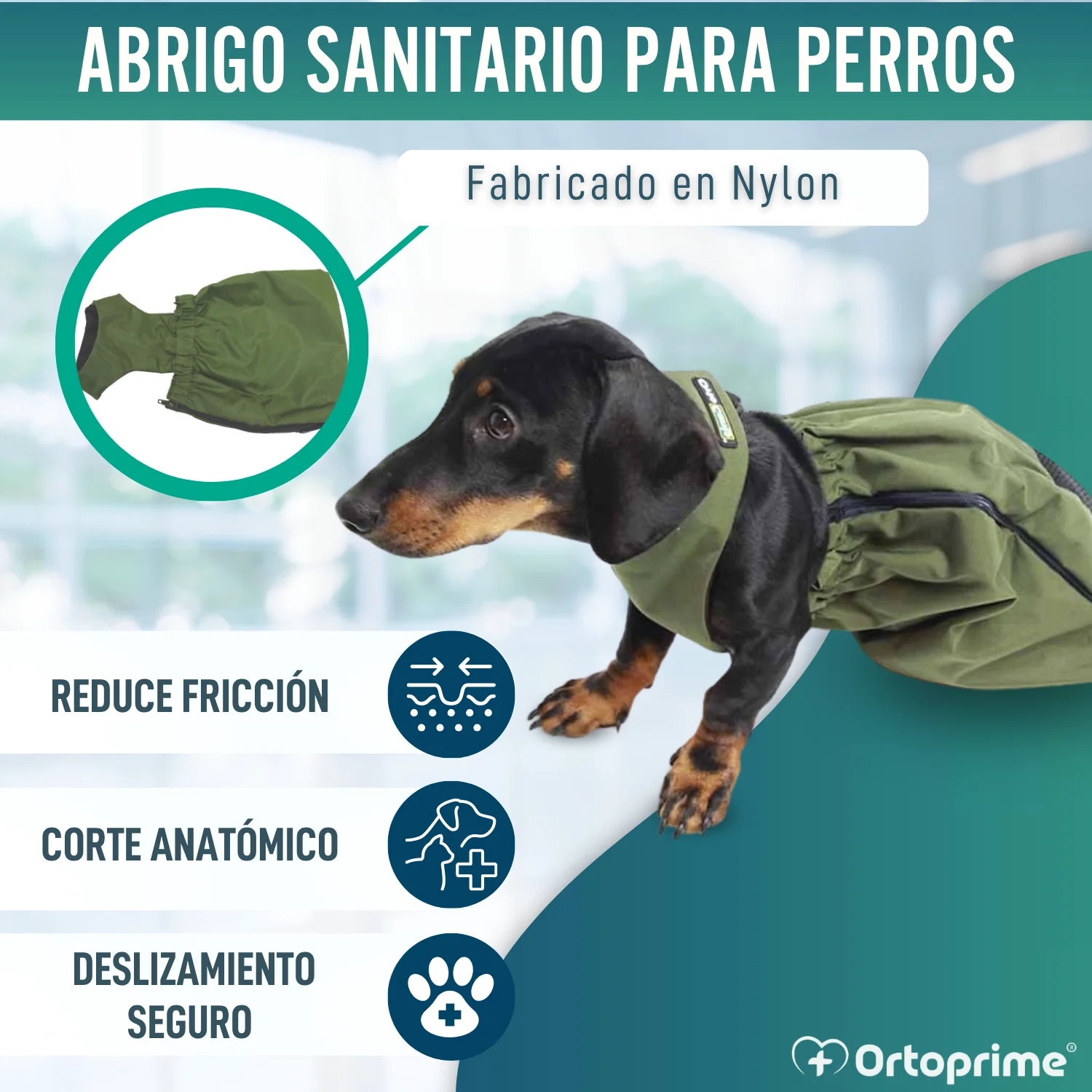 Abrigo de Nylon para Perros con Movilidad Reducida | 6 Tallas - Image 5