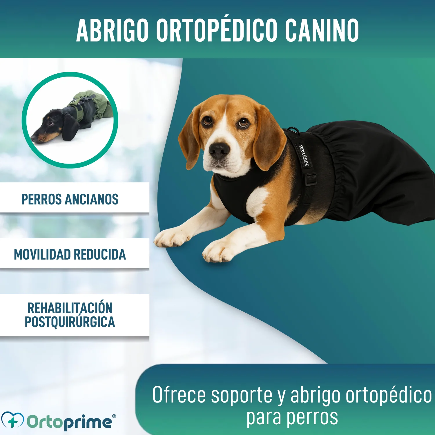 Abrigo de Nylon para Perros con Movilidad Reducida | 6 Tallas - Image 6