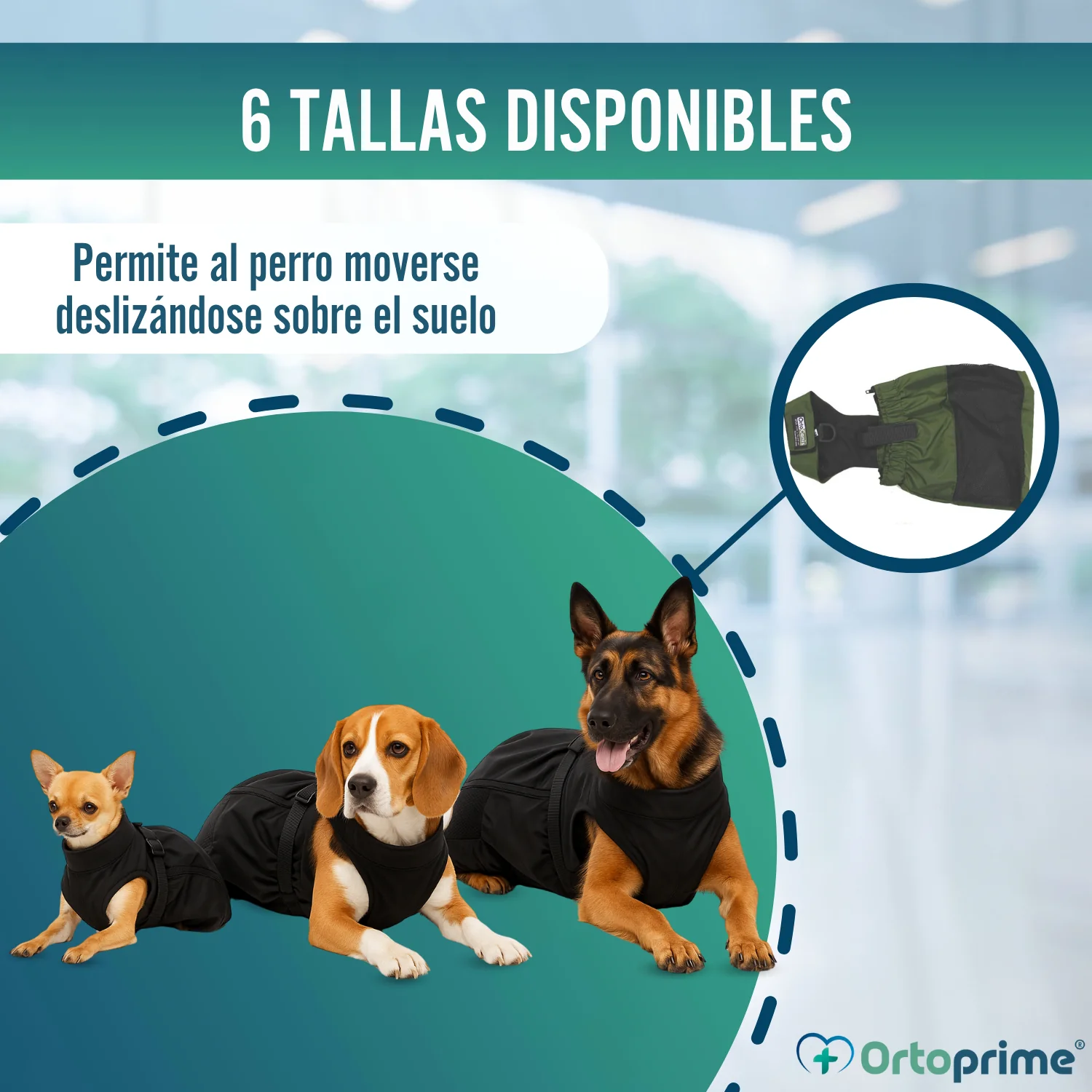 Abrigo de Nylon para Perros con Movilidad Reducida | 6 Tallas - Image 8