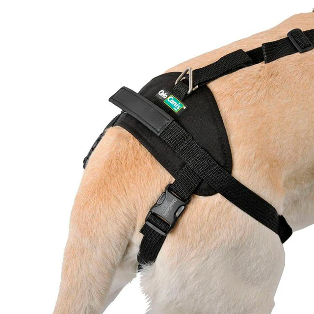 Arnés de Perro para Soporte en Cuerpo Entero | Por Tallas - Image 4