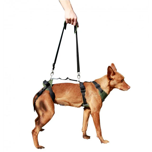 Arnés de Perro para Soporte en Cuerpo Entero | Por Tallas - Image 7