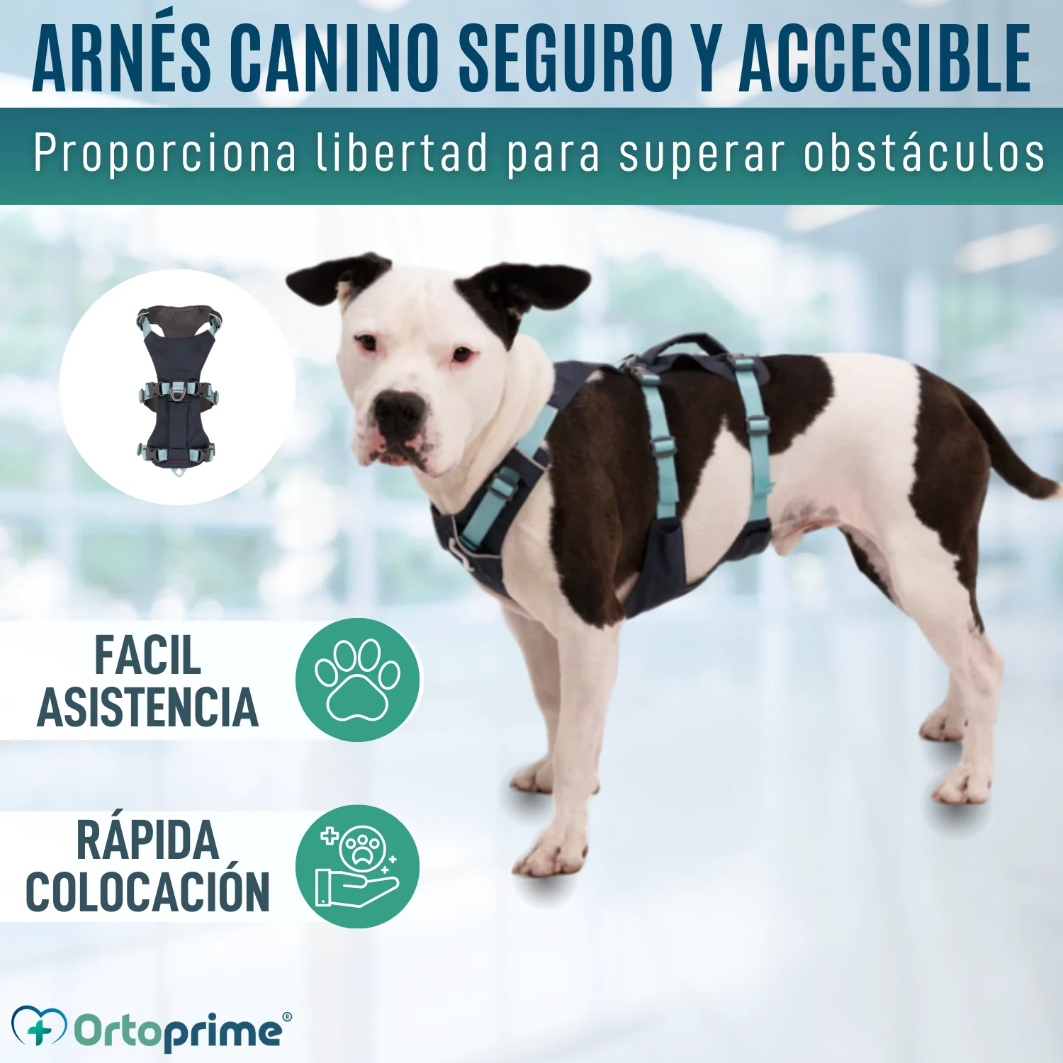 Arnés de Elevación Multiuso Canino | Estructura Resistente - Image 7