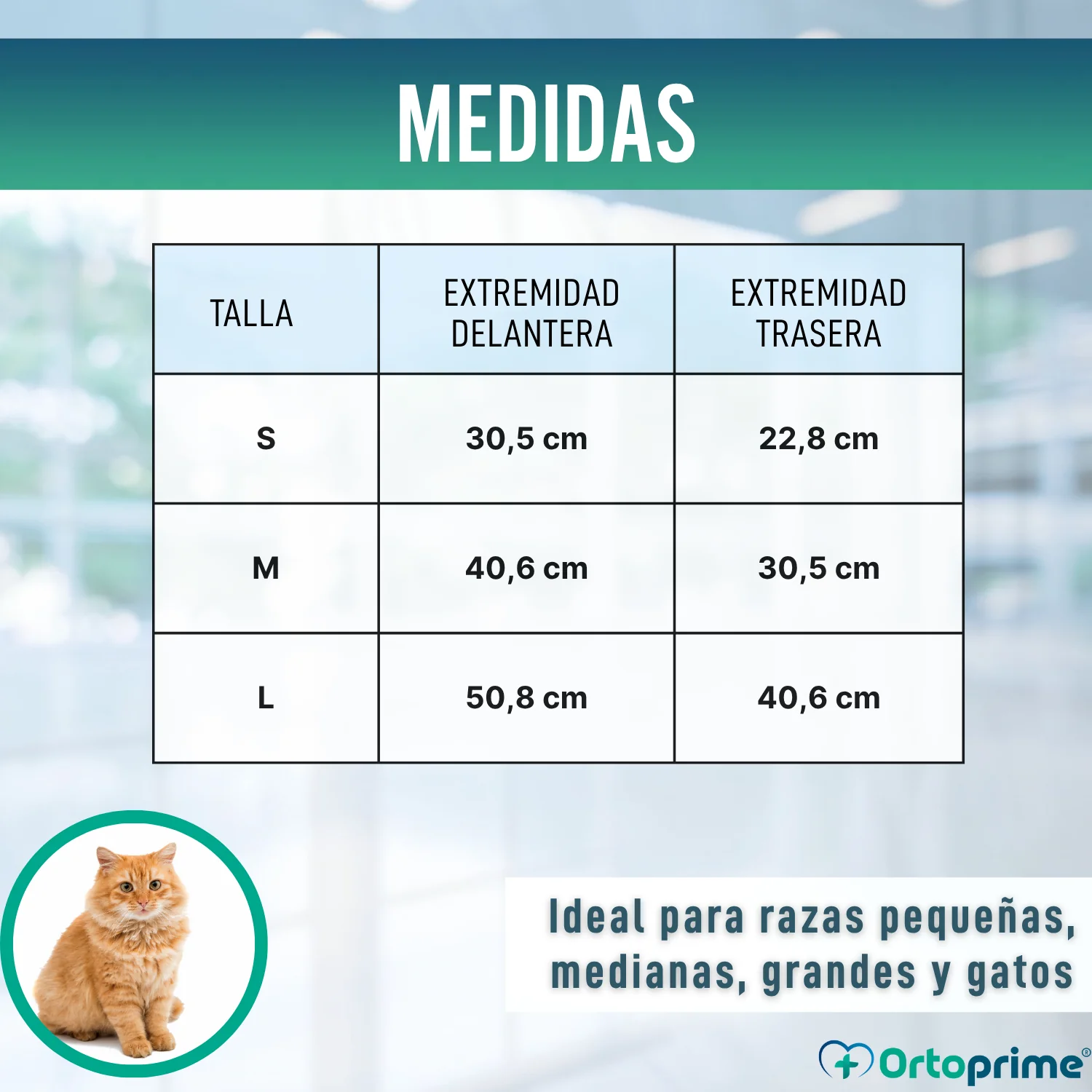 Férula Rápida para Extremidades de Perros y Gatos | 3 Tallas - Image 2