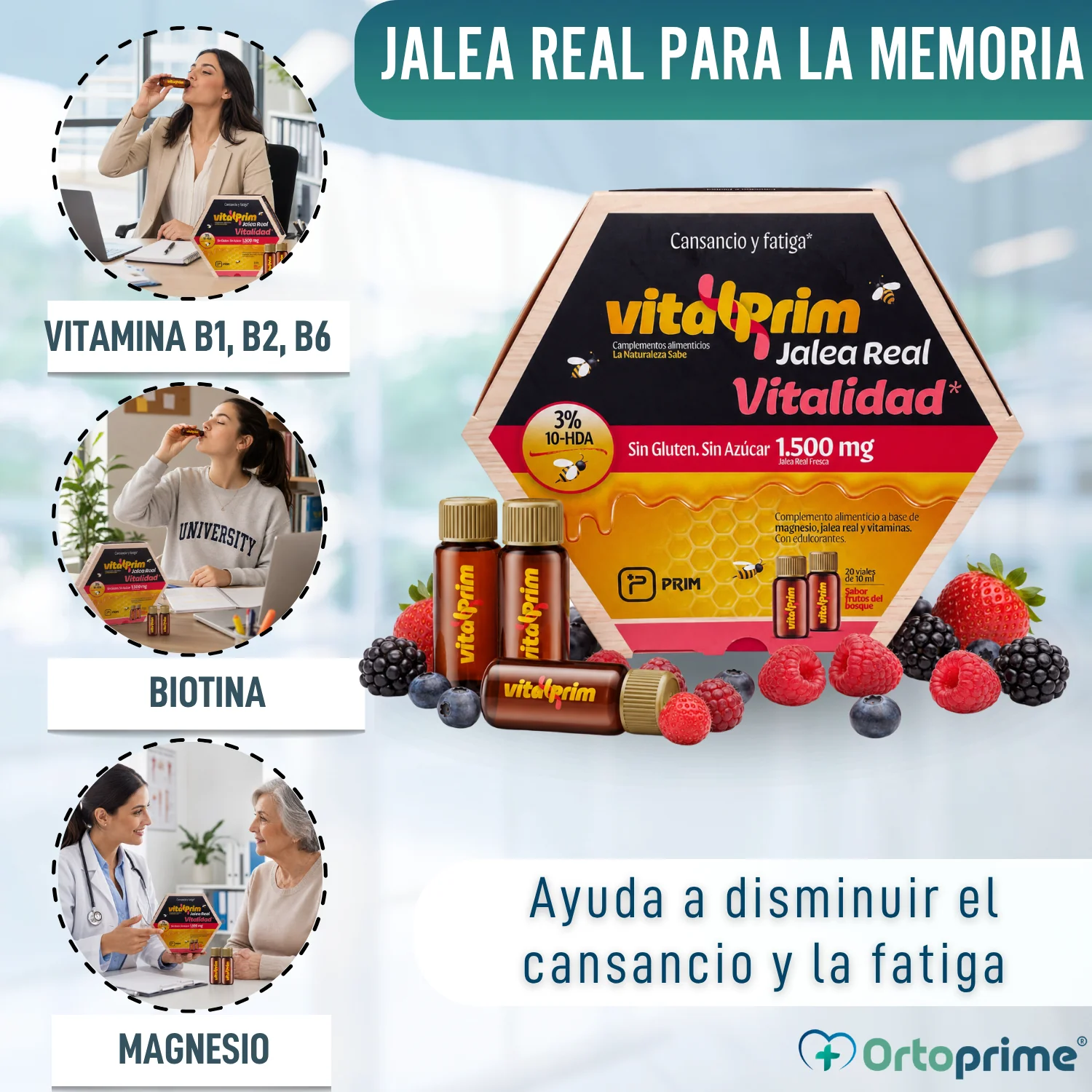 Vitaflor Jalea Real | Intelecto Memoria y Concentración - Image 2