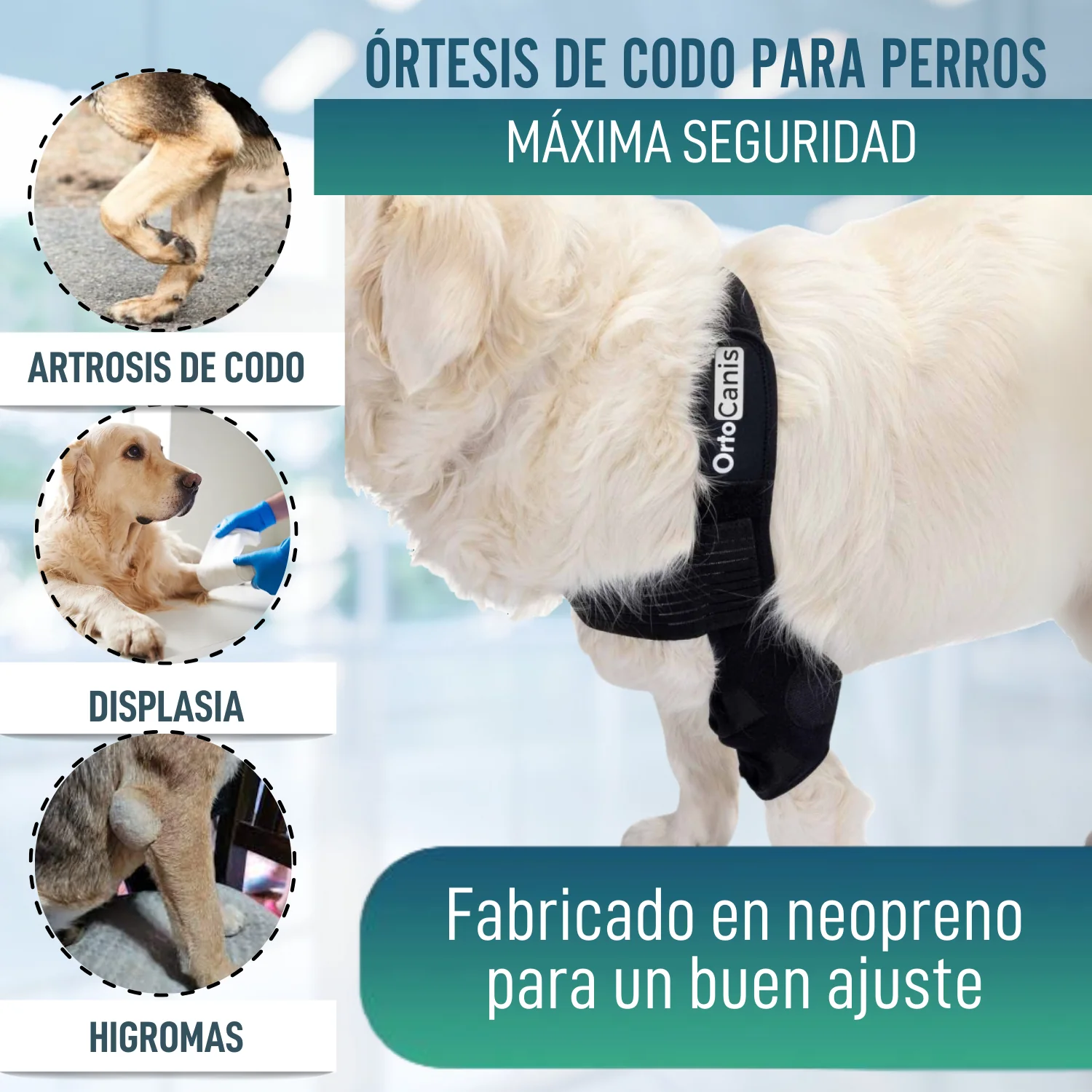 Órtesis de Codo para Perros con Artrosis Rehabilitación Canina - Image 3