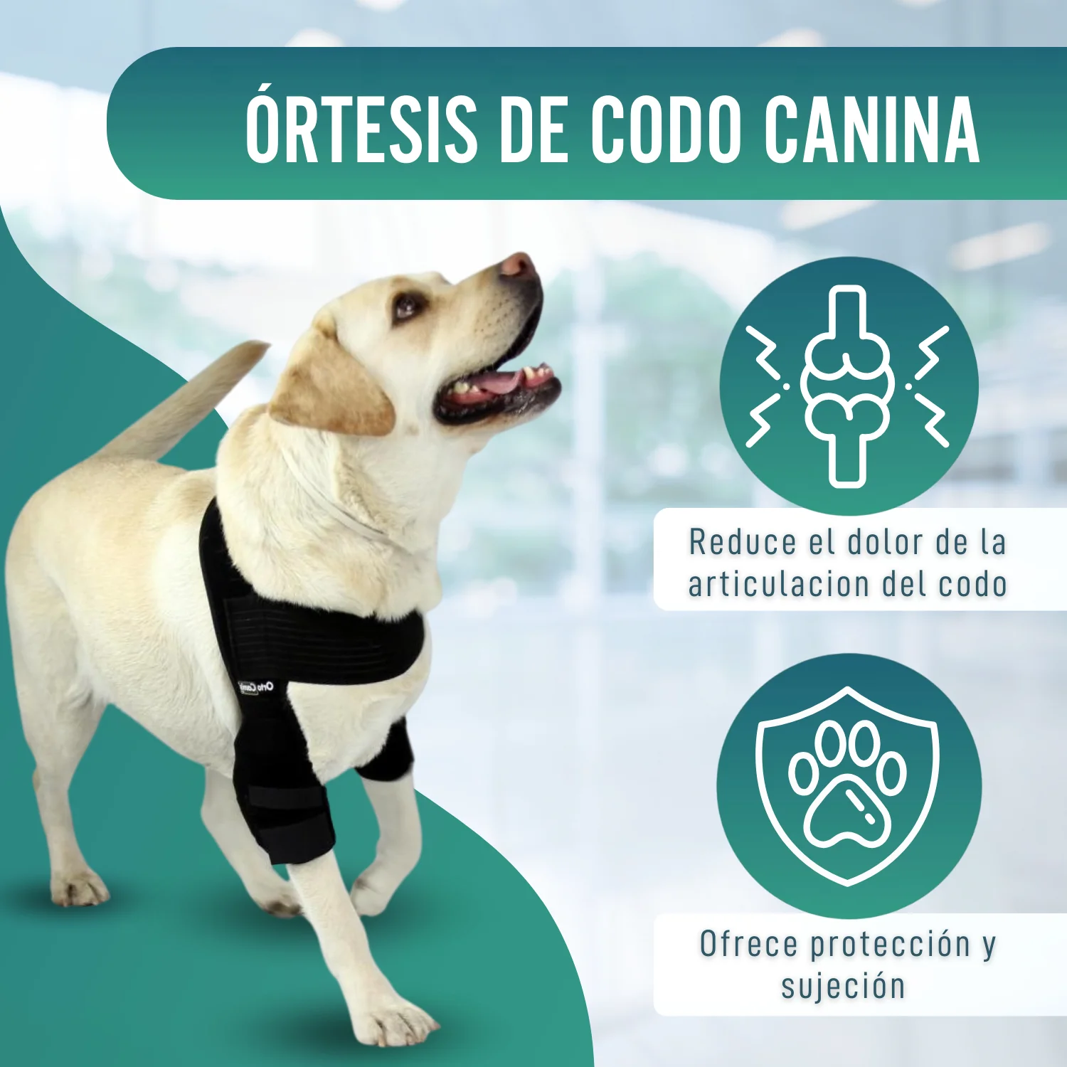 Órtesis de Codo para Perros con Artrosis Rehabilitación Canina - Image 4