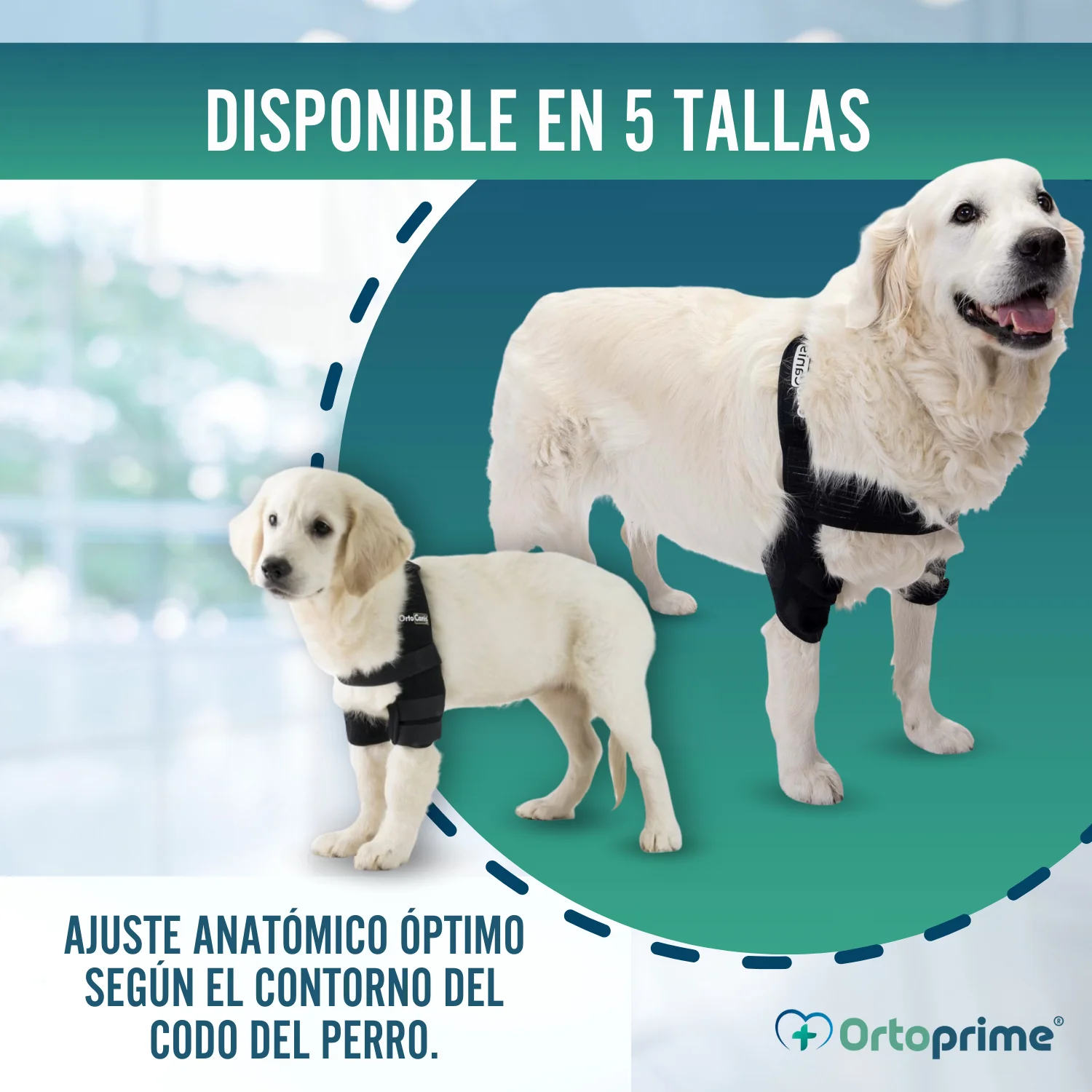 Órtesis de Codo para Perros con Artrosis Rehabilitación Canina - Image 5