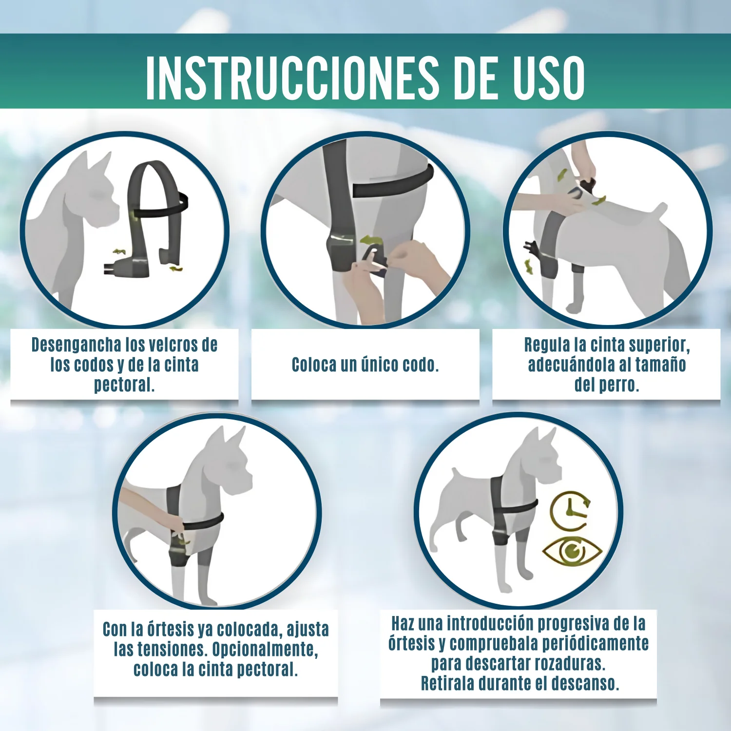 Órtesis de Codo para Perros con Artrosis Rehabilitación Canina - Image 9